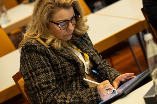 100326 StBV TaxArena SFT WEB-128